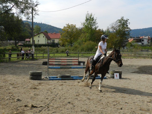 Babie Lato 2016